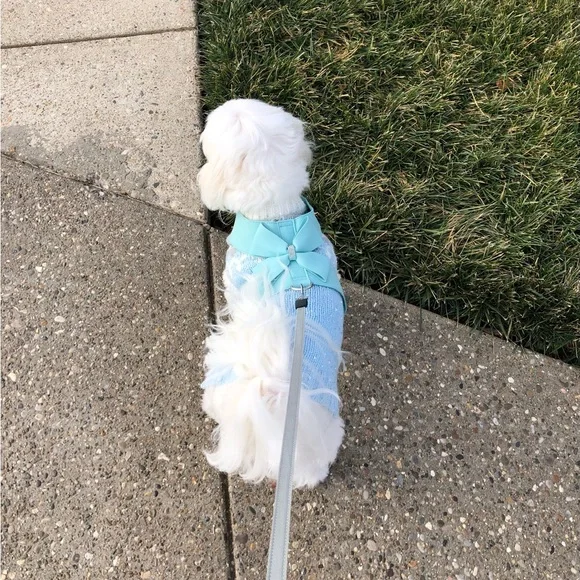 Brother Catdog Adjustable Rhinestone Harness - Picture 1 of 6